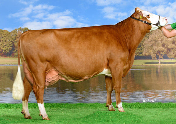 DBKat161 Kimberly GS Der Beste x Mint Bauer Johannes.jpg