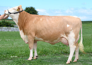 MEGASTAR Pp* - D FUTURE