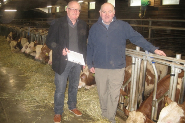 Semen from Europe's Top Bulls