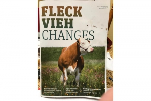 Fleckvieh First